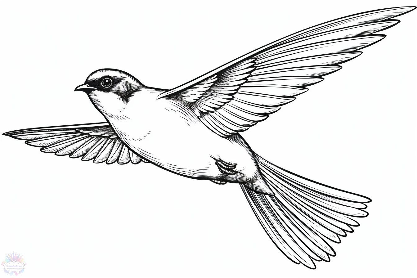 Birdie Coloring Pages