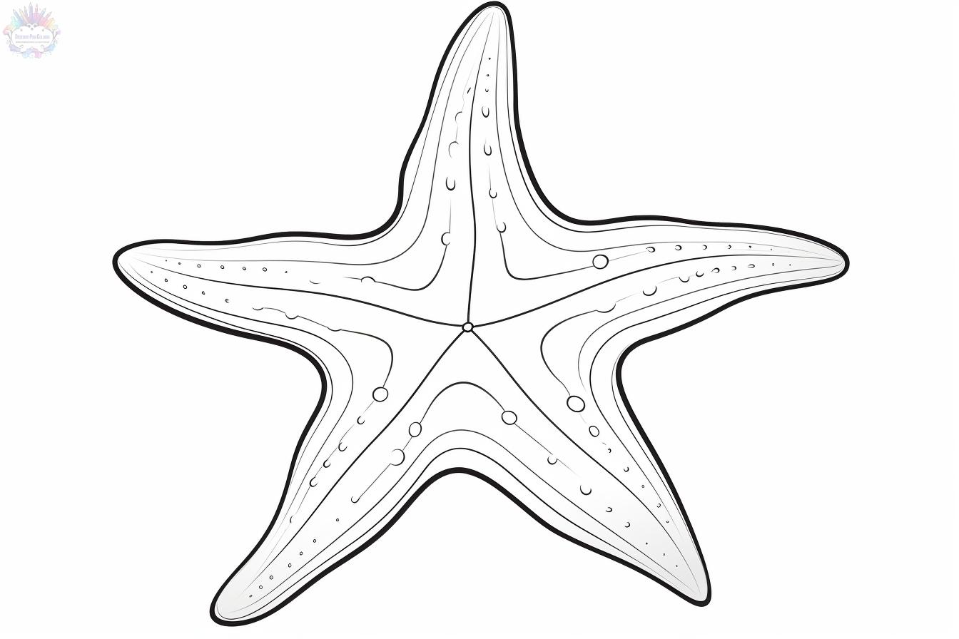 Starfish Coloring Pages