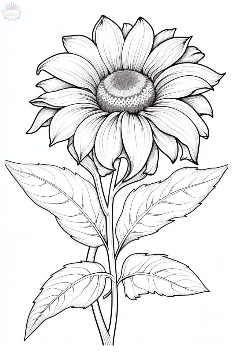 Sunflower Coloring Pages - Coloring Pages